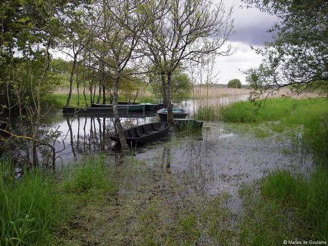 Les marais de Haute-Goulaine