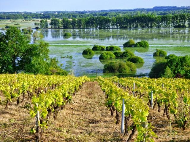 Les Marais de Haute-Goulaine